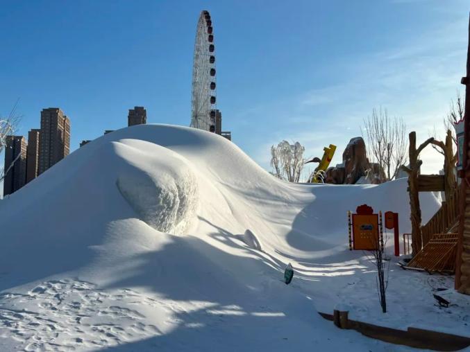星空官网-高原雪地橇比赛，冰雪中的速度盛宴的简单介绍