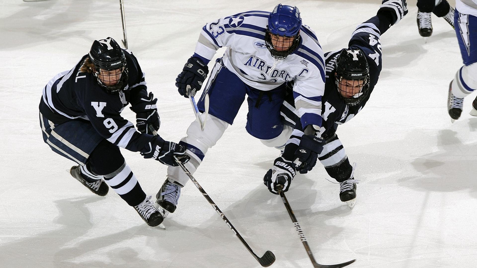 星空体育app体验棒-“智慧青训+产业创新”引领行业科技革新，行业新生态逐步形成，智慧产业链