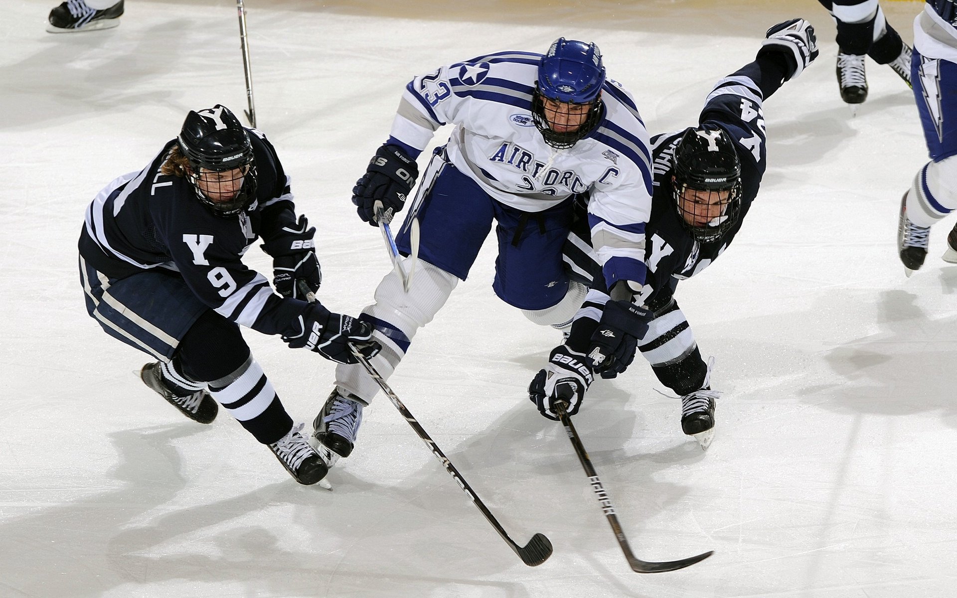星空体育app体验棒-“智慧青训+产业创新”引领行业科技革新,行业新生态逐步形成,智慧产业链