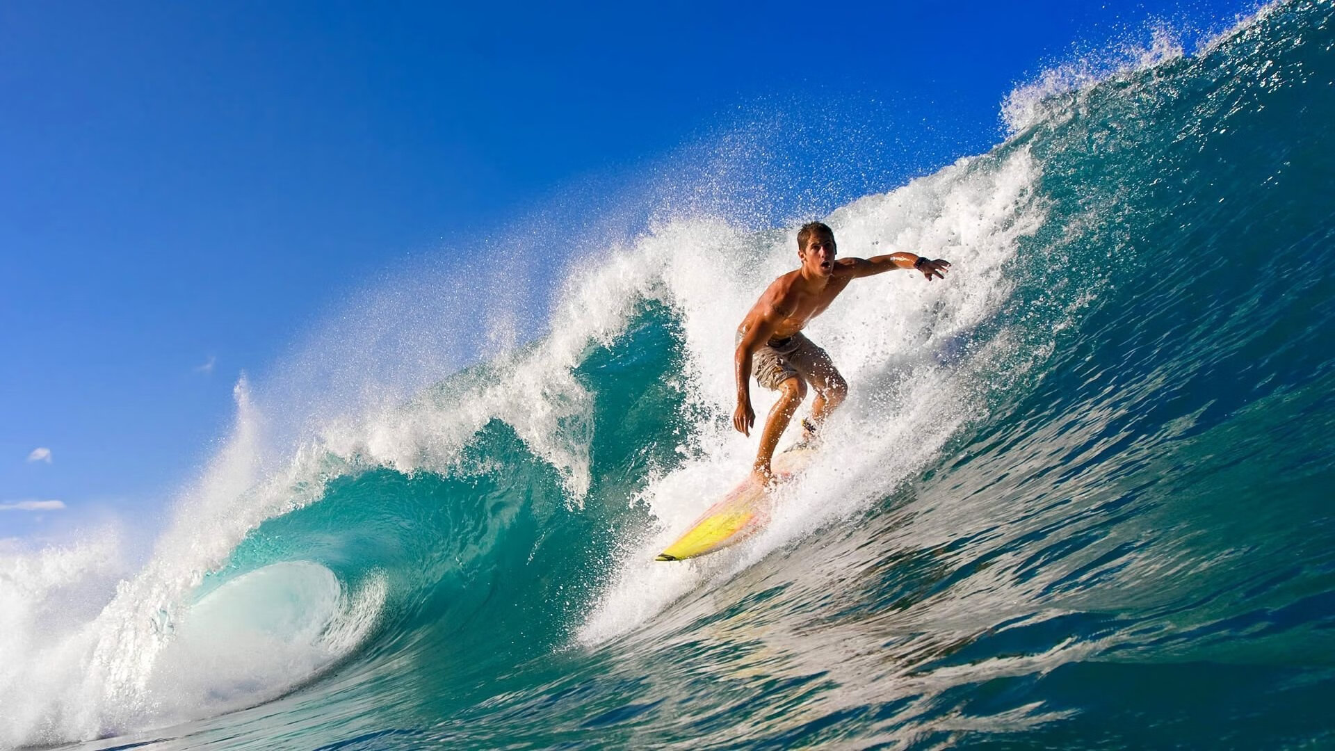 星空体育app体验棒-“未来赛车：新能源动力带来的速度革命”，未来能源汽车